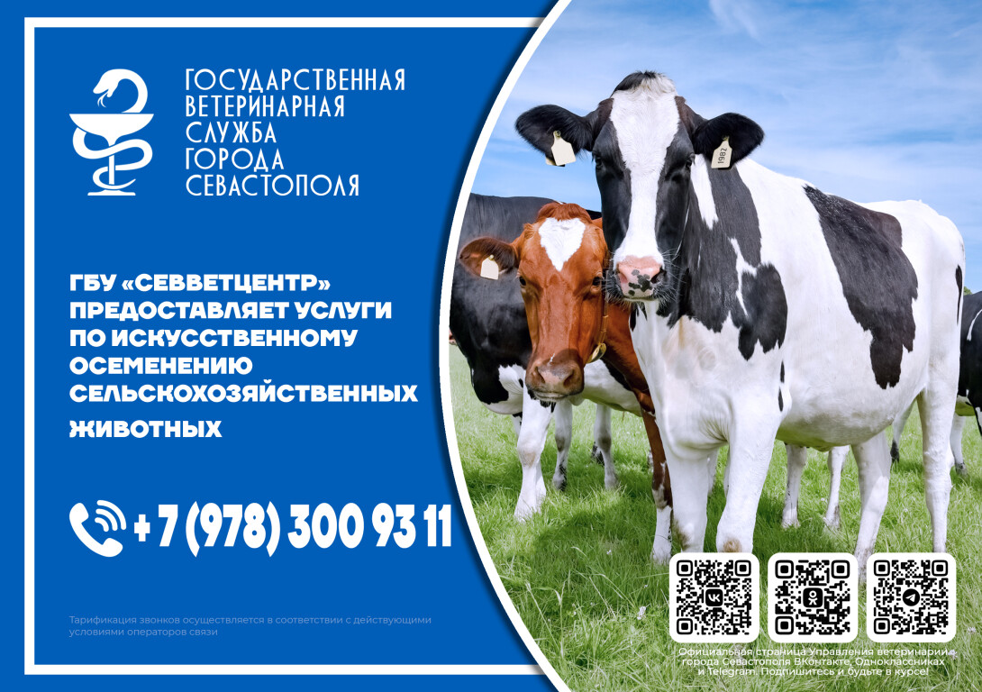 искусственное осеменение
